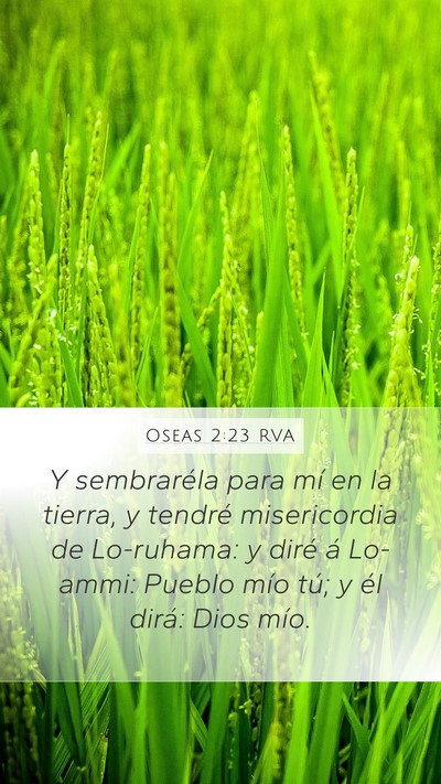 Oseas 2:23 RVA Bible Verse Image