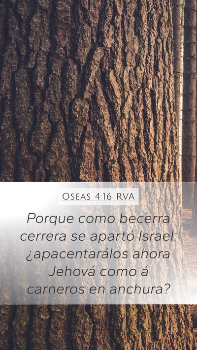 Oseas 4:16 RVA Bible Verse Image