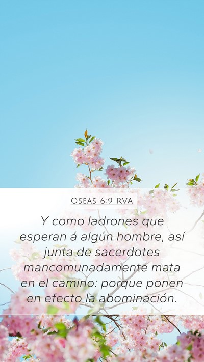 Oseas 6:9 RVA Bible Verse Image