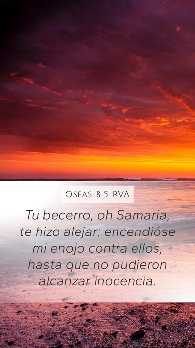 Oseas 8:5 RVA Mobile Phone Wallpaper - Tu becerro, oh Samaria, te hizo alejar; - Mobile Bible Verse Wallpaper