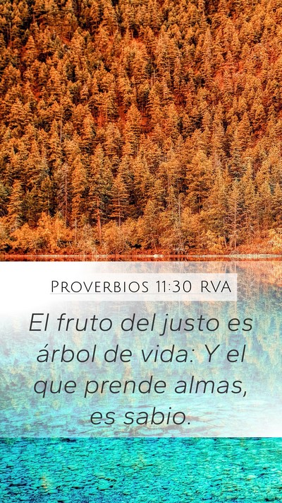 Proverbios 11:30 RVA Bible Verse Image