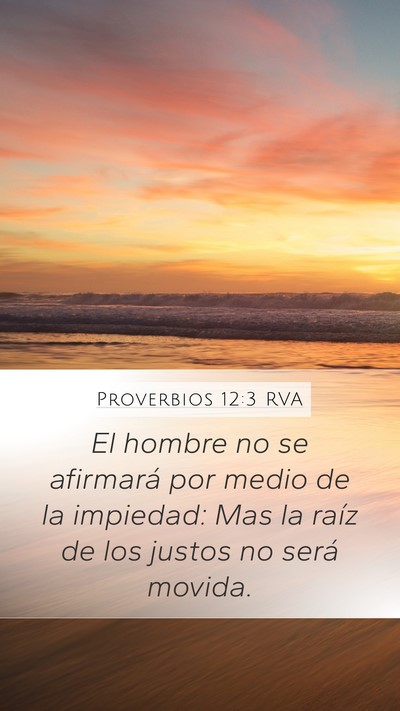 Proverbios 12:3 RVA Mobile Phone Wallpaper - El hombre no se afirmará por medio de la - Mobile Bible Verse Wallpaper