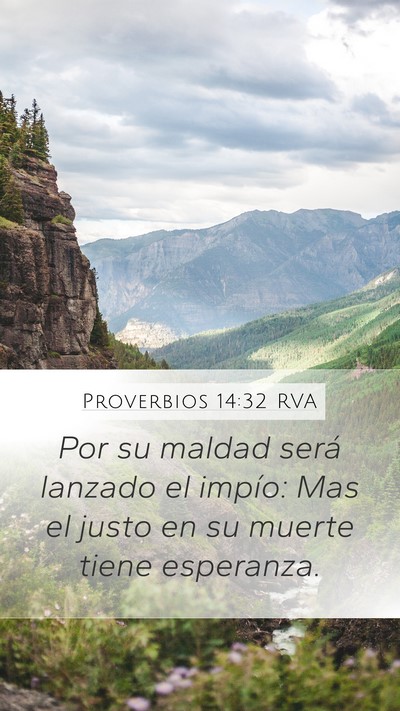 Proverbios 14:32 RVA Bible Verse Image