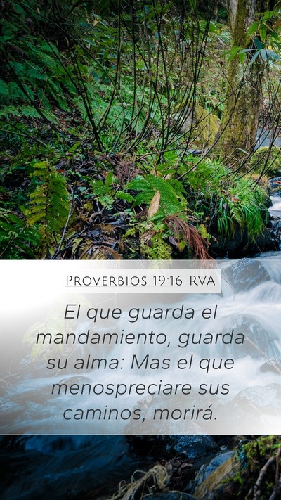 Proverbios 19:16 RVA Bible Verse Image