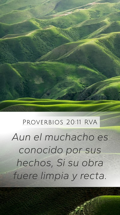 Proverbios 20:11 RVA Bible Verse Image