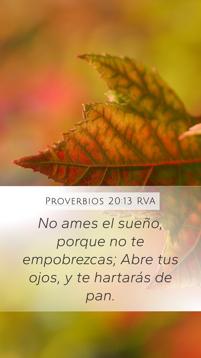 Proverbios 20:13 RVA Mobile Phone Wallpaper - No ames el sueño, porque no te empobrezcas; Abre - Mobile Bible Verse Wallpaper