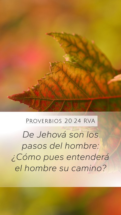 Proverbios 20:24 RVA Bible Verse Image