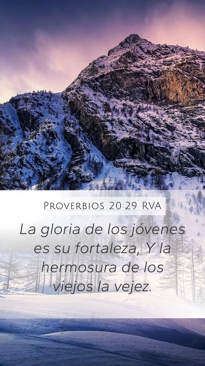 Proverbios 20:29 RVA Bible Verse Image