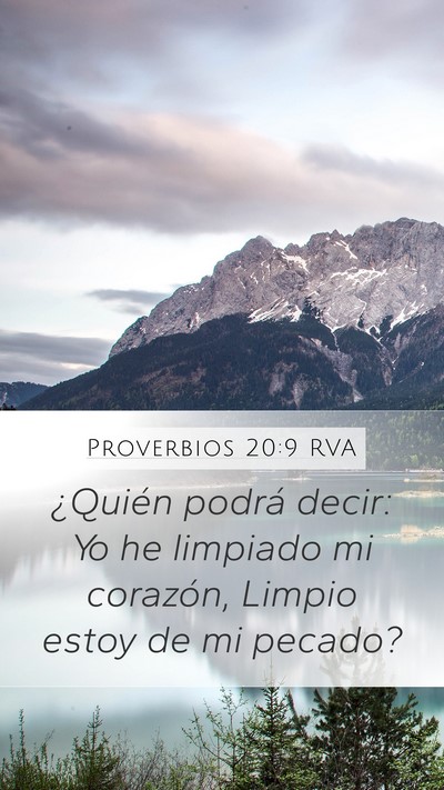 Proverbios 20:9 RVA Bible Verse Image