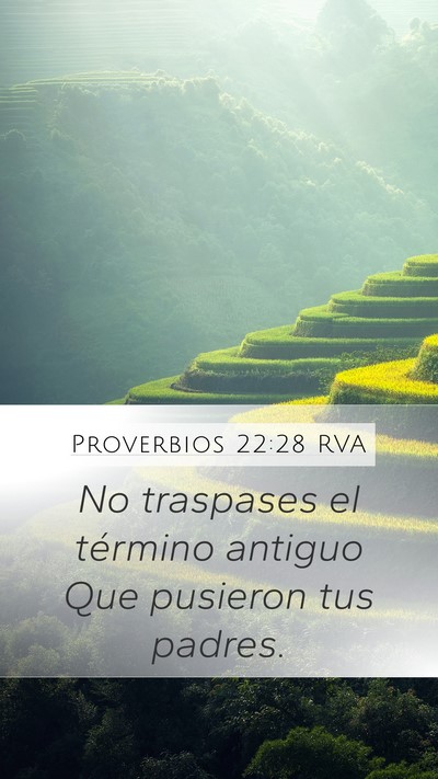 Proverbios 22:28 RVA Bible Verse Image