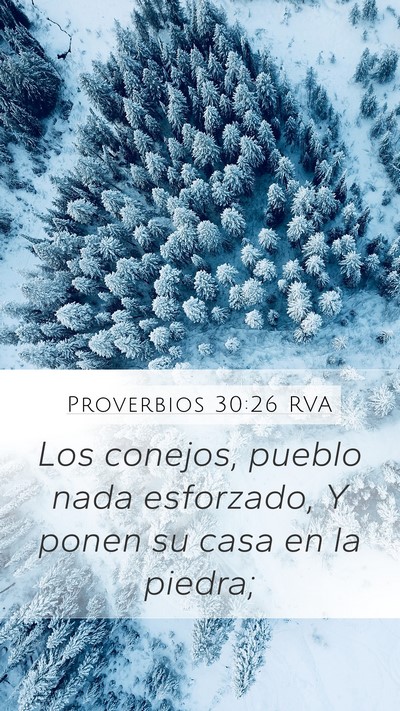 Proverbios 30:26 RVA Mobile Phone Wallpaper - Los conejos, pueblo nada esforzado, Y ponen su - Mobile Bible Verse Wallpaper