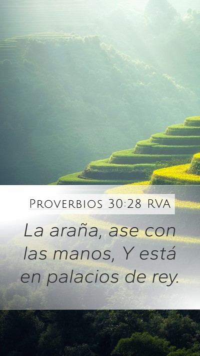 Proverbios 30:28 RVA Mobile Phone Wallpaper - La araña, ase con las manos, Y está en palacios - Mobile Bible Verse Wallpaper
