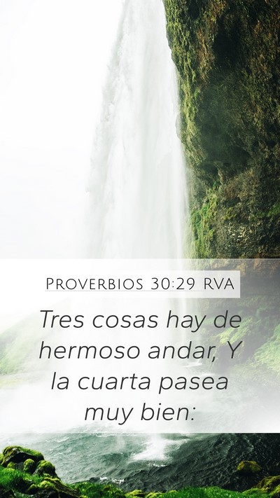 Proverbios 30:29 RVA Bible Verse Image