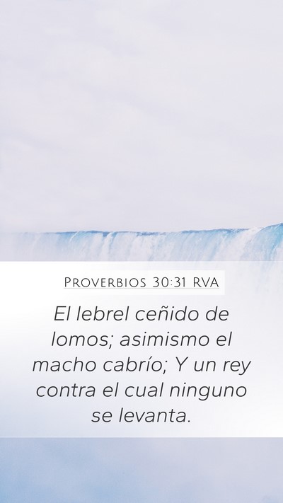 Proverbios 30:31 RVA Bible Verse Image