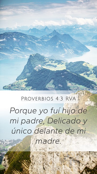 Proverbios 4:3 RVA Bible Verse Image