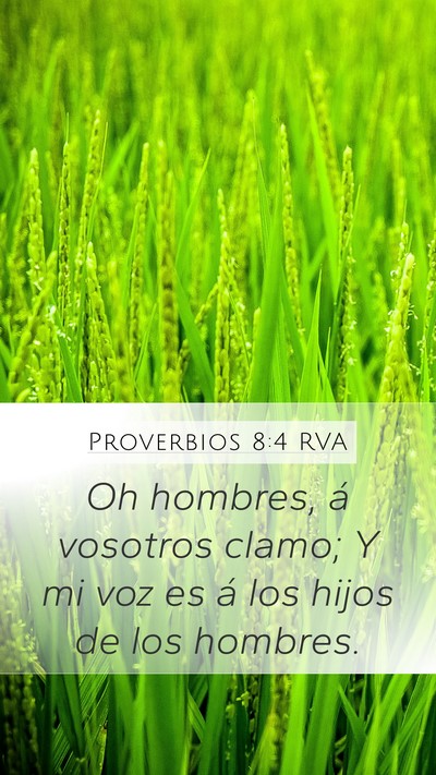 Proverbios 8:4 RVA Bible Verse Image