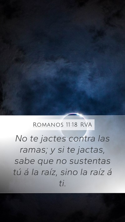 Romanos 11:18 RVA Mobile Phone Wallpaper - No te jactes contra las ramas; y si te jactas, - Mobile Bible Verse Wallpaper