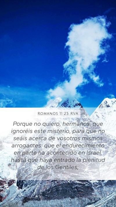 Romanos 11:25 RVA Bible Verse Image