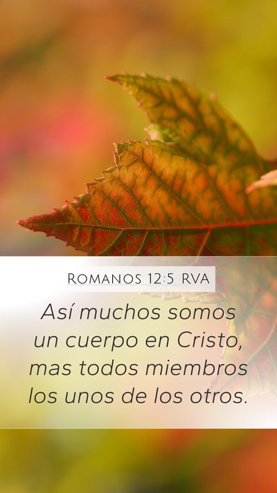 Romanos 12:5 RVA Mobile Phone Wallpaper - Así muchos somos un cuerpo en Cristo, mas todos - Mobile Bible Verse Wallpaper