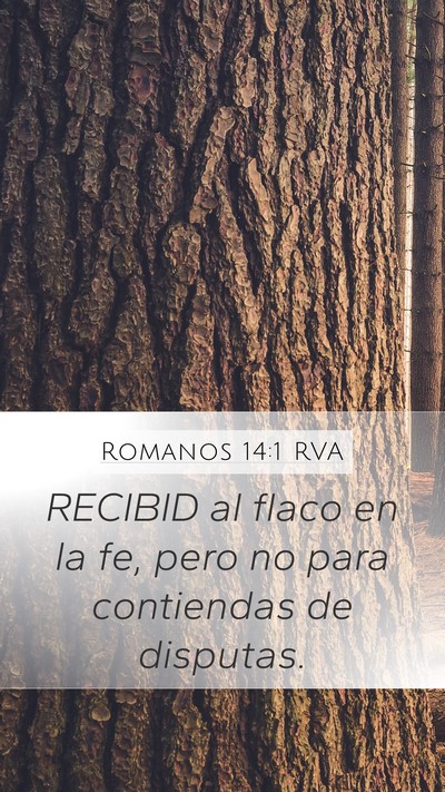 Romanos 14:1 RVA Mobile Phone Wallpaper - RECIBID al flaco en la fe, pero no para - Mobile Bible Verse Wallpaper