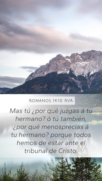 Romanos 14:10 RVA Bible Verse Image