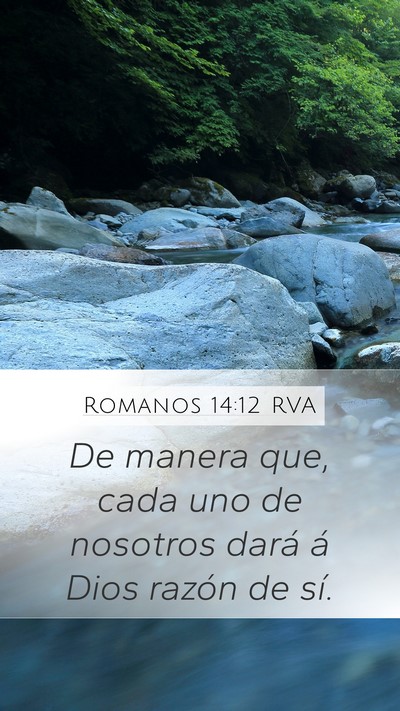 Romanos 14:12 RVA Bible Verse Image