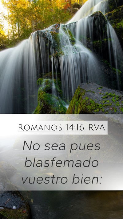 Romanos 14:16 RVA Bible Verse Image