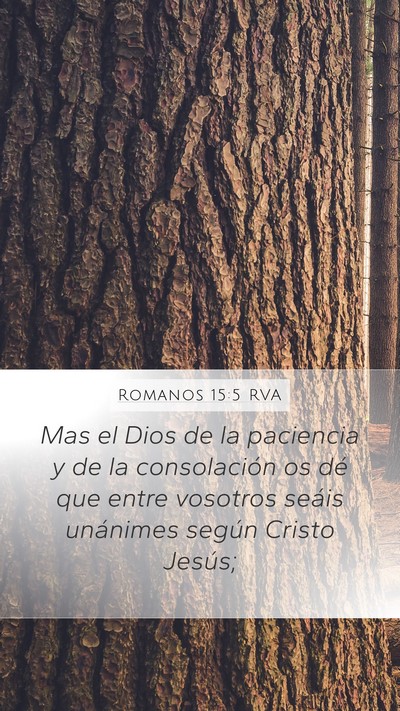 Romanos 15:5 RVA Bible Verse Image