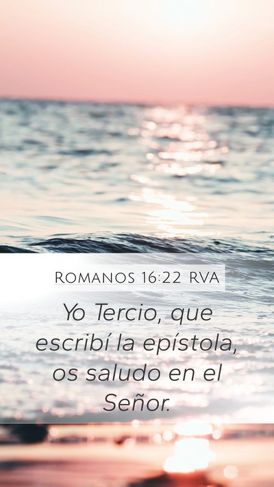 Romanos 16:22 RVA Bible Verse Image