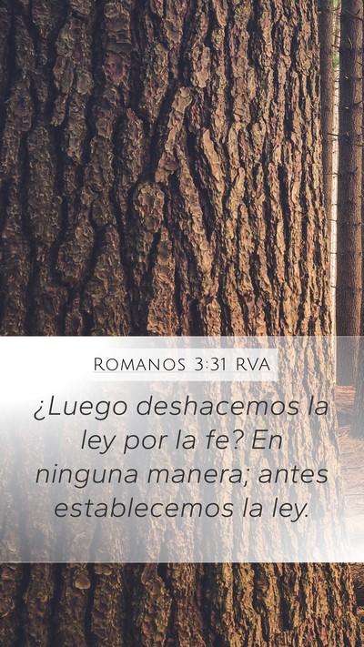 Romanos 3:31 RVA Bible Verse Image