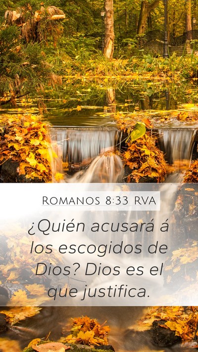 Romanos 8:33 RVA Bible Verse Image