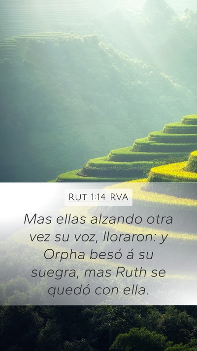 Rut 1:14 RVA Bible Verse Image