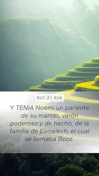 Rut 2:1 RVA Mobile Phone Wallpaper - Y TENIA Noemi un pariente de su marido, varón - Mobile Bible Verse Wallpaper