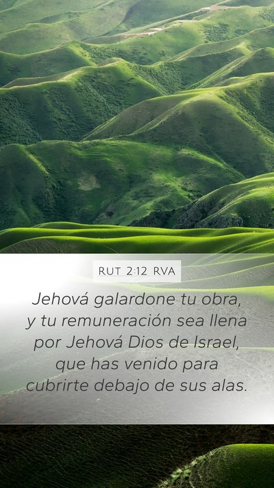 Rut 2:12 RVA Bible Verse Image