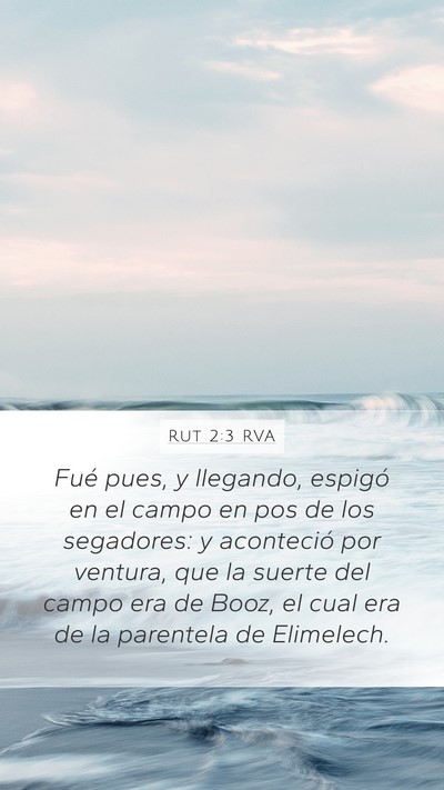 Rut 2:3 RVA Mobile Phone Wallpaper - Fué pues, y llegando, espigó en el campo en pos - Mobile Bible Verse Wallpaper