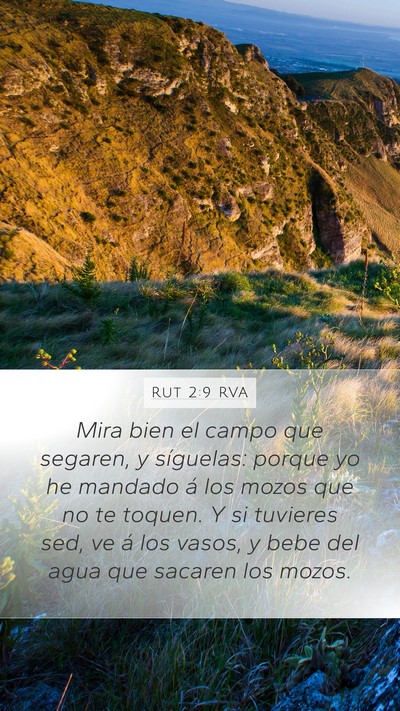 Rut 2:9 RVA Bible Verse Image