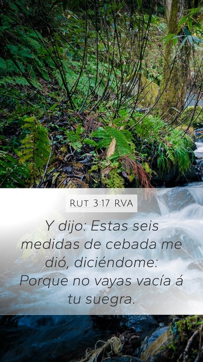 Rut 3:17 RVA Mobile Phone Wallpaper - Y dijo: Estas seis medidas de cebada me dió, - Mobile Bible Verse Wallpaper