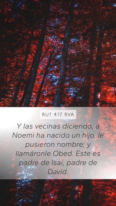 Rut 4:17 RVA Mobile Phone Wallpaper - Y las vecinas diciendo, á Noemi ha nacido un - Mobile Bible Verse Wallpaper