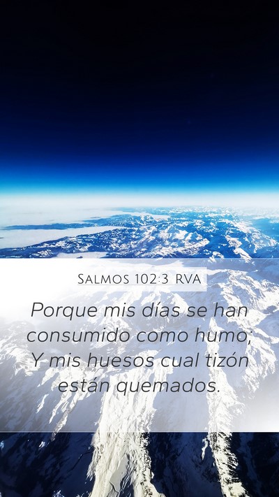 Salmos 102:3 RVA Mobile Phone Wallpaper - Porque mis días se han consumido como humo; Y - Mobile Bible Verse Wallpaper