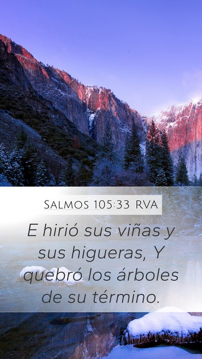 Salmos 105:33 RVA Mobile Phone Wallpaper - E hirió sus viñas y sus higueras, Y quebró los - Mobile Bible Verse Wallpaper