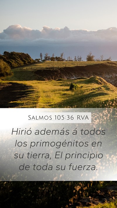 Salmos 105:36 RVA Bible Verse Image