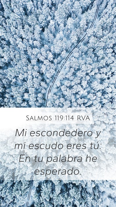 Salmos 119:114 RVA Bible Verse Image