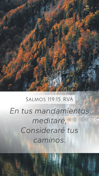 Salmos 119:15 RVA Bible Verse Image