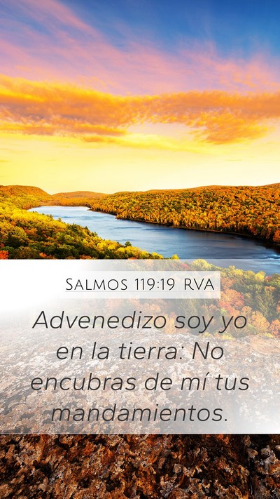 Salmos 119:19 RVA Bible Verse Image