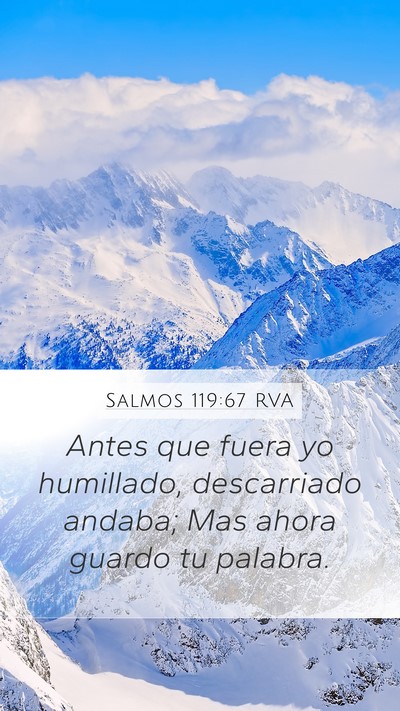 Salmos 119:67 RVA Bible Verse Image