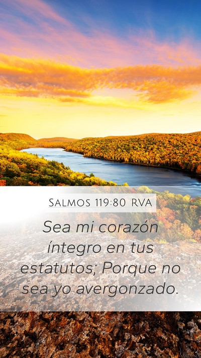 Salmos 119:80 RVA Bible Verse Image