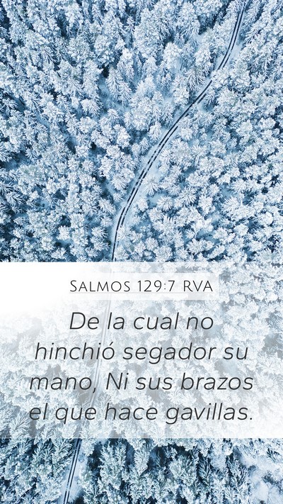 Salmos 129:7 RVA Bible Verse Image