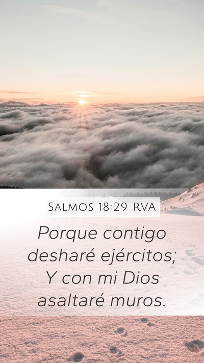 Salmos 18:29 RVA Bible Verse Image
