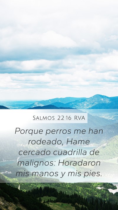 Salmos 22:16 RVA Bible Verse Image