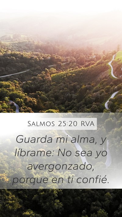 Salmos 25:20 RVA Bible Verse Image